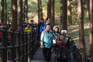 휠체어도 유모차도 산길 걸어요