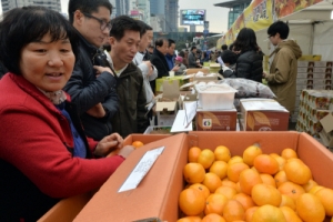 잘 익은 햇과일, 참 달겠죠?