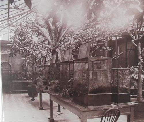 19세기 중반 영국 런던동물원의 실내풍경.