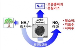 “기후변화 주범 아산화질소의 발생 원인은 고세균”