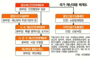 바뀐 국가재난 대응시스템 혼선 가능성
