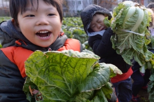 배추 준비하는 고사리손…용산구, 꼬마농부 수확 행사