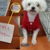 “안락사 부탁합니다” 강아지 버린 주인 네티즌 비난 봇물
