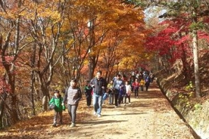 “연풍새재라 불러주오”  충북도 조령 일대 옛길 복원