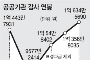 공공기관 감사, 억대 연봉만 감사