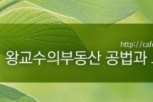 공인중개사도 미처 다 모르는 부동산 경매