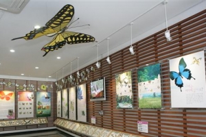 [명인·명물을 찾아서] 사막여우·낙타 등 올 230마리 출생…멸종위기 동물·곤충 산실로 ‘우뚝’