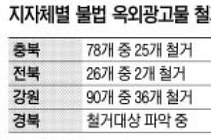 지자체 불법 옥외광고물 철거 늑장