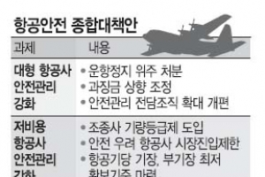 항공기 사망사고 과징금 없이 운항정지