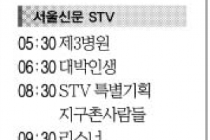 [1일(日) 서울신문 STV·OBS·EBS]