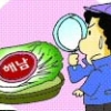 [경제 블로그] 올해도 가짜 해남배추와의 전쟁