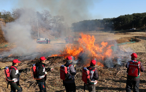 영농 폐기물 태워 산불 예방 