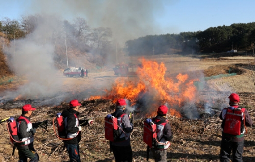 영농 폐기물 태워 산불 예방