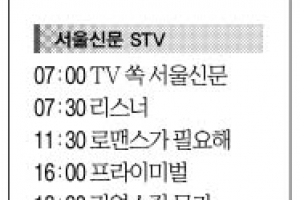 [7일(土) 서울신문 STV·OBS·EBS]