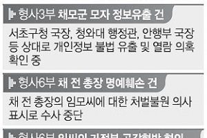 ‘채군 정보유출’ 靑 행정관 재소환