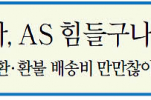 [커버스토리] 싸다고 무작정 도전했다가는 낭패 봐요