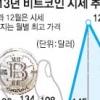 ‘비트코인’ 정부 차원 대책 시급