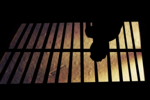 성인용품 가게주인, 손님 폭행으로 잡혀와서 혀를…