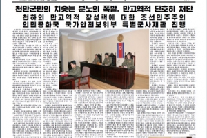 北 매체, 장성택 사형 집행 대대적 보도