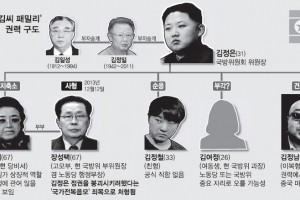 [北 장성택 전격 처형] “김정남, 張 최측근 접촉 발각설… 美 망명 가능성”