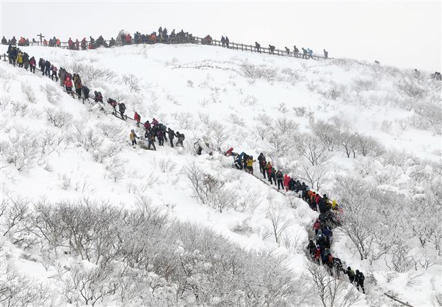 겨울철 덕유산 탐방객들이 만든 눈꽃열차. 국립공원관리공단 제공