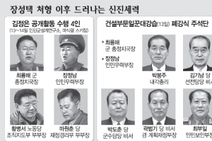 떠오르는 신진세력… 17일 김정일 2주기 주석단 주목
