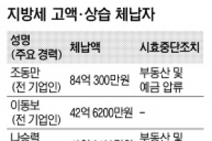 지방세 3000만원이상 체납자 25% 증가