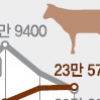 국내산 소고기 소비량, 13년 만에 외국산 추월
