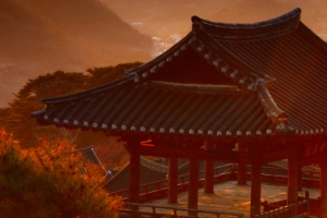 타오르는  선비의 기상 굽이굽이 지조의 역사