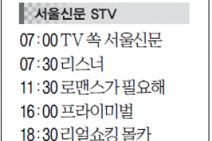 [21일(土) 서울신문 STV·OBS·EBS]