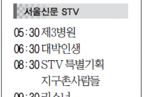 [22일(日) 서울신문 STV·OBS·EBS]