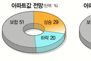“새해 아파트값 보합세 띨 것” 51%