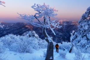 해맞이 산행 1번지  강원 태백산