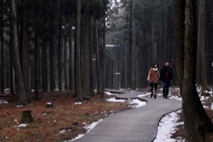 [명인·명물을 찾아서]  제주 절물 자연휴양림