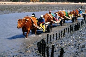 [이슈&이슈] “어업이냐, 관광이냐” 이견… 정부 해결 촉구엔 한목소리