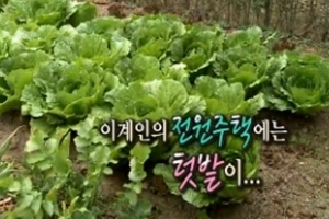 이계인 집공개, 닭장+수석까지 모아 놓은 마당 ‘반전 성격’