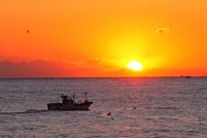 과메기·포항초·양미리·관동 8경 빛나는 800리 동해안 옛길