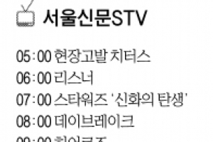 [서울신문 STV]