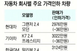 2000㏄ 넘는 차량 가격 인하 잇따라