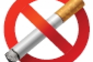 학교 앞에서 담배피우면 10만원