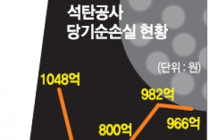[공기업 개혁 이번엔 제대로 하자] 수조원 예산 낭비엔 ‘눈치 감사’…수억원 부실 집행만 ‘표적 감사’