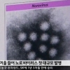 노로바이러스 주의보 관광객 300명 집단감염…치사율은?