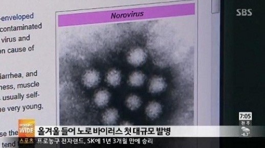 노로바이러스 주의보. / SBS 뉴스 화면