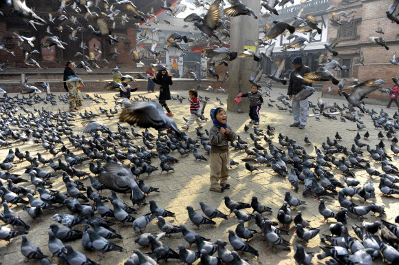 네팔 카트만두의 더르바르 광장에서 9일(현지시간) 한 어린이가 날아오르는 수백 마리의 비둘기를 보며 즐거워하고 있다.  카트만두 AFP 연합뉴스