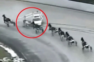 말의 해, 美 최악의 경마사고 발생