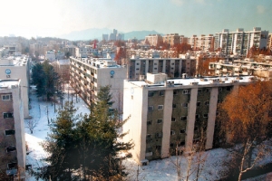 ‘재건축 아파트’ 새해 주택시장 이것이 대세! 개포·잠실선 매물도 걷는다