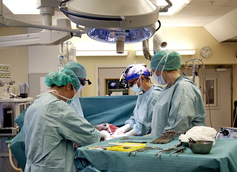 지난 2012년 4월4일 스웨덴 예테보리 대학 연구팀이 살그렌스카 병원에서 자궁 이식 수술 연습을 사고 있는 사진. 13일(현지시간) 스웨덴에서 9명의 여성이 성공적으로 자궁 이식 수술을 받았다.  예테보리(스웨덴)=AP/뉴시스