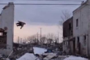 버려진 건물잔해 틈서 스키 타는 사람들