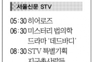 [19일(日) 서울신문 STV·OBS·EBS]