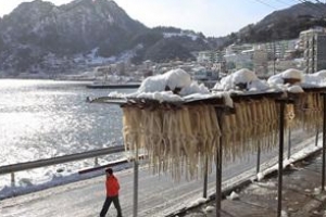 쫄깃한 오징어·눈 덮인 산촌… 울릉도의 먹거리와 볼거리